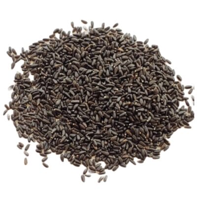 Untitled-4 Lemon Balm Seeds