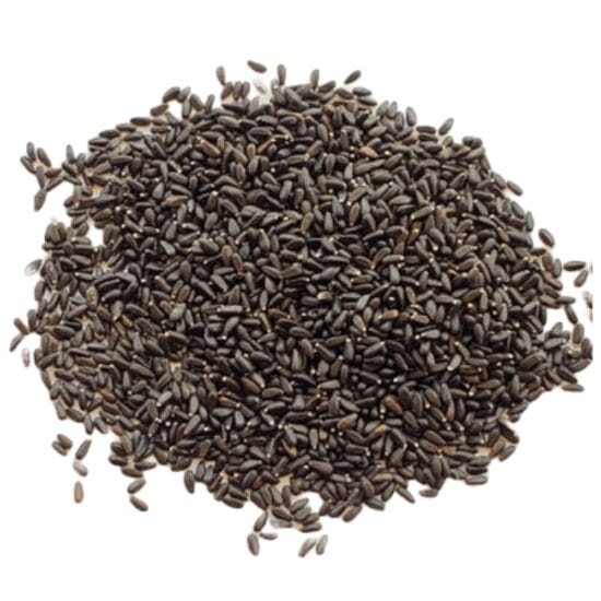 Untitled-4 Lemon Balm Seeds